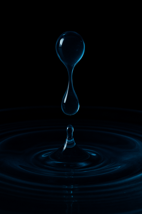 Discovery Sample Set